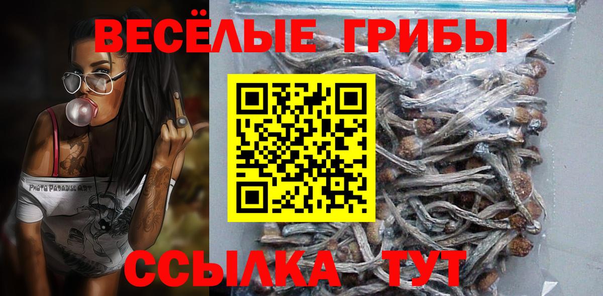 Галлюциногенные грибы Psilocybine cubensis Благодарный