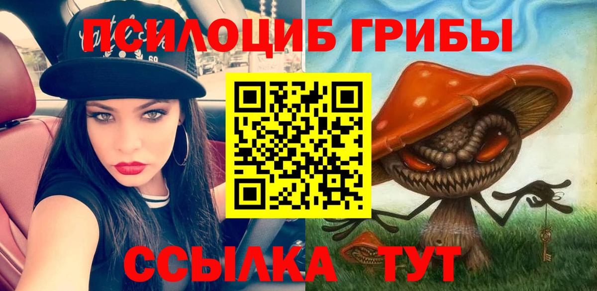 Благодарный  Псилоцибиновые грибы Cubensis  Псилоцибиновые грибы Psilocybe  Вход с VPN 